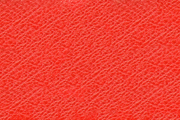 Texture of natural tanned and processed pig skin leather for the manufacture of products. Background skin a dimpled red. Raw materials for industry and leather goods.