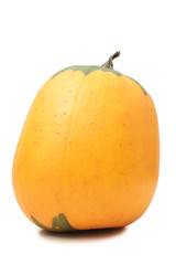 Big yellow pumpkin on a white background