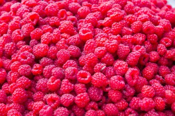 Lots of Raspberries