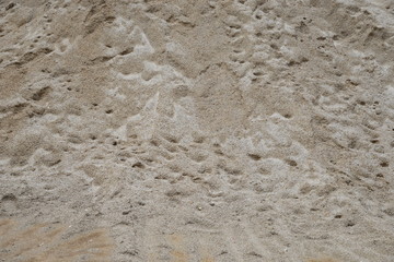 Sand for Construction