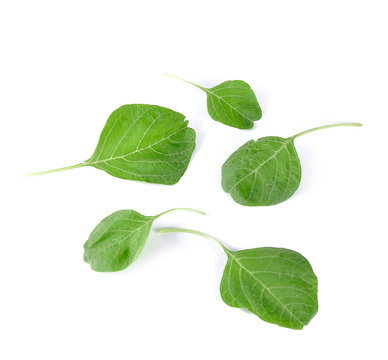 spinach fresh isolated on white