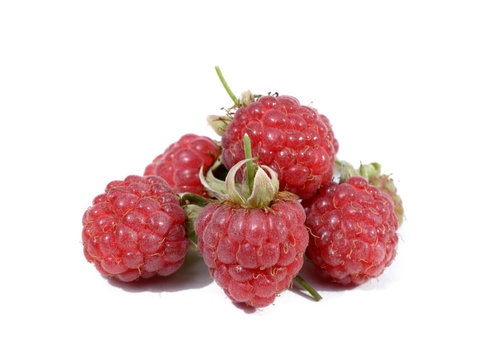 Sweet ripe raspberry isolated on white background