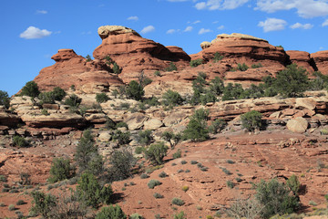 Fototapeta premium The Needles, Canyonland NP