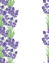 The background for the text label of the packaging the card with lavender flowers.