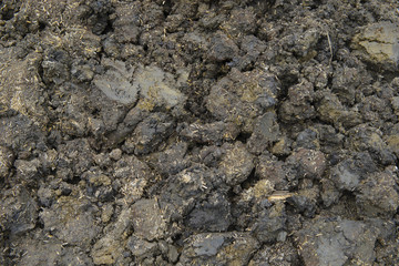 Soil dirt background