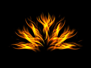 Fototapeta premium A fan of flames on a black background, vector illustration