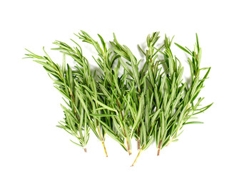 Rosemary on white background.