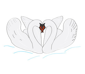 a pair of swans. love. relations. vector illustration
