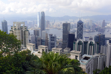 Obraz premium Tightly packed buildings in the island metropolis of Hong Kong, one of the large cities with forest and jungle not far away