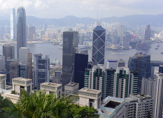 Obraz premium Tightly packed buildings in the island metropolis of Hong Kong, one of the large cities with forest and jungle not far away