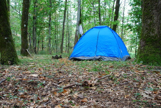 Camping dans la for&ecirc;t