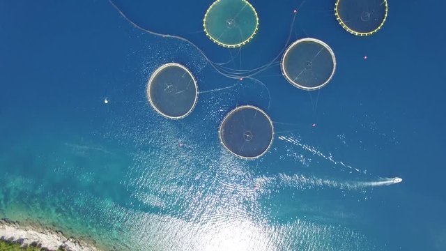 Aerial view of fish farm near the island of Dugi otok