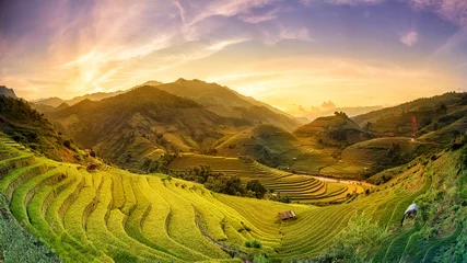 Fotobehang Rijstvelden Terrasvormige rijstvelden bij zonsondergang Mu Chang Chai, Yen Bai, Vietnam