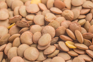 Close-up on a Raw Lentils on white background. (Lens culinaris)