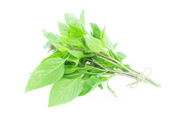 Closeup fresh sweet basil vegetable on white background,raw material for cooking