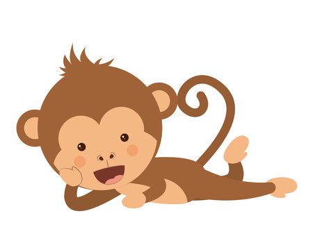 funny monkey character isolated icon design, vector illustration  graphic 