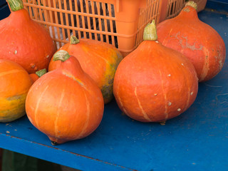 Fresh pumpkins on farmers market.