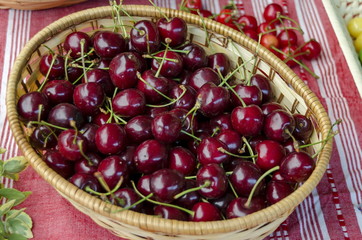 Feast of cherry fruit in the Kyustendil, presentment out their production raw fruit, Bulgaria 