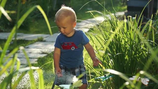 Funny little boy 1.5 years studying hosing plants in the garden