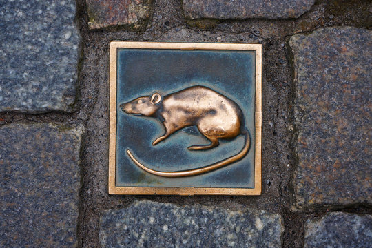 Metal rat - symbol of city Hameln in Germany.