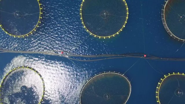 Aerial view of fish farm near the island of Dugi otok