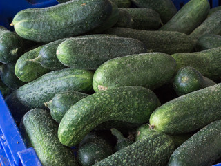 Fresh cucumbers on farmers market.