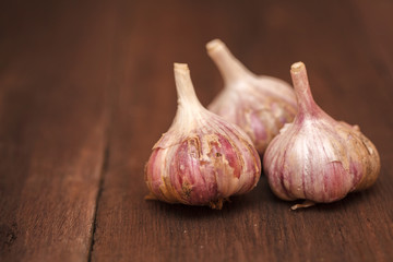 Ripe garlic head on a wooden background