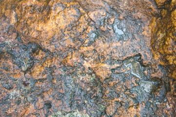 This is the marble floor. It is good background.