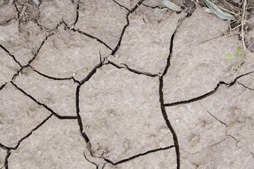 Dry soil by a drought