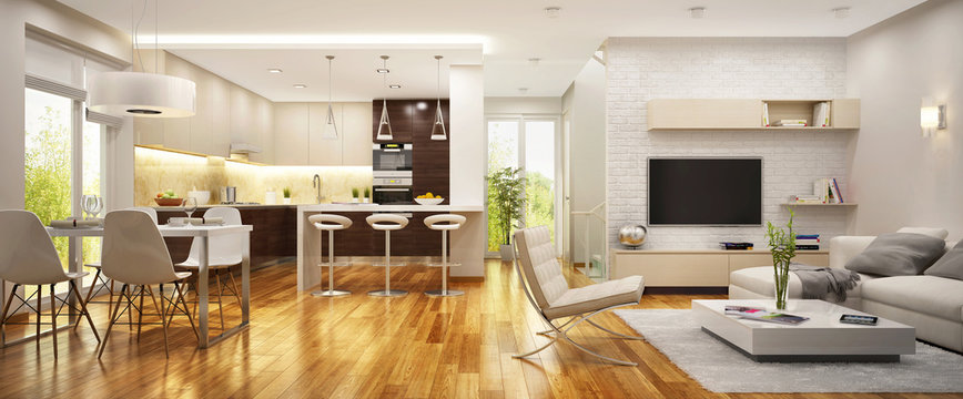 Modern kitchen and living room