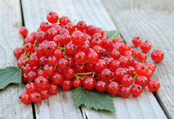 Handful of fresh ripe red currants on rustic wooden background, gardening and healthy food concept