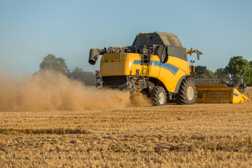 Obraz premium combine harvester in wheat field