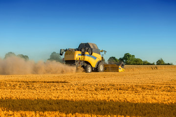 Fototapeta premium combine harvester in wheat field