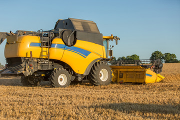 Obraz premium combine harvester in wheat field