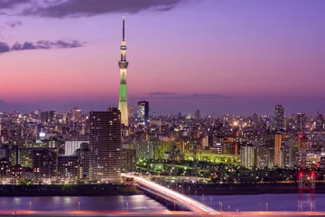 Fotobehang Skyline van Tokio, Japan © SeanPavonePhoto