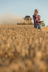 Female farmer walking through field checking wheat crop - 117598395