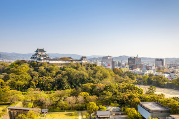 Naklejka premium Wakayama Castle in Japan