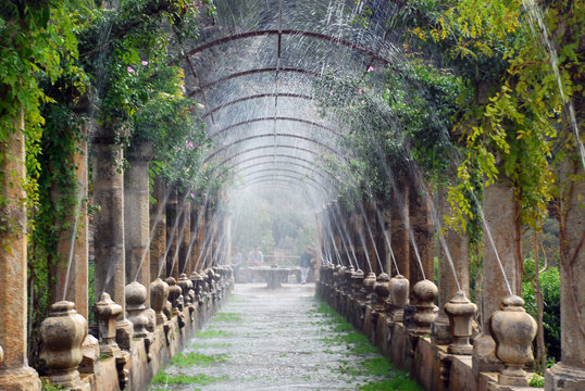 Pergola of the Alfabia gardens, Mallorca