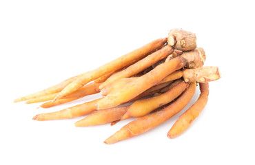 Fingerroot on white background, health care and ,raw material for cooking concept