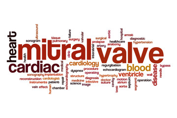 Mitral valve word cloud concept