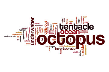 Octopus word cloud concept
