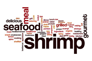 Shrimp word cloud concept