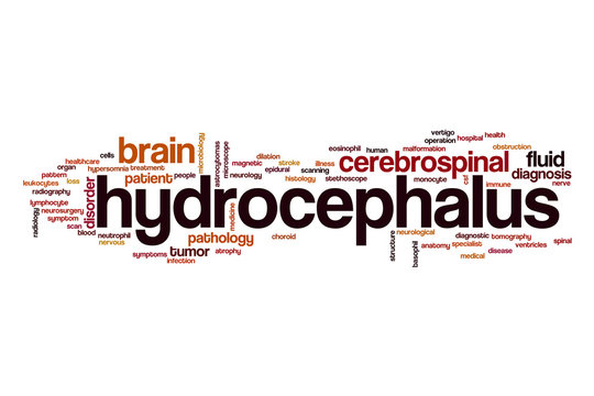 Hydrocephalus word cloud concept