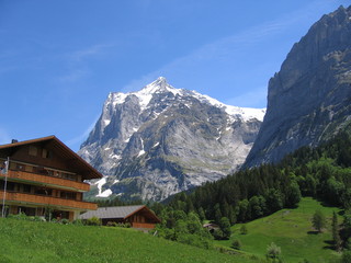 Fototapeta na wymiar View of the Wetterhorn above Grindelwald, Switzerland with mountain chalets and pasture in the foreground