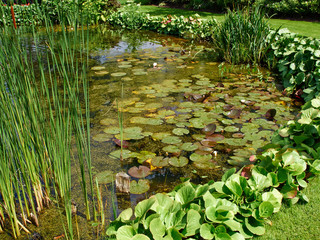 Obraz na płótnie Canvas Beautiful classical design garden fish pond with water lily
