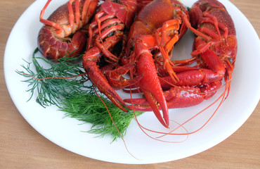 Boiled crayfish color with lemon and dill lie on a round white plate on a wooden table surface. Top view close-up