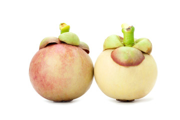 Mangosteen isolated on white background