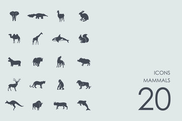 Set of mammals icons