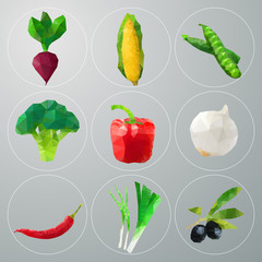 Vector polygonal vegetables set
