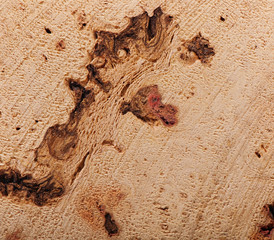 Background of old wood, texture old wood.